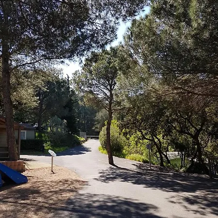 Chalet Cote Mer Les Pins Vue Mer. דירה